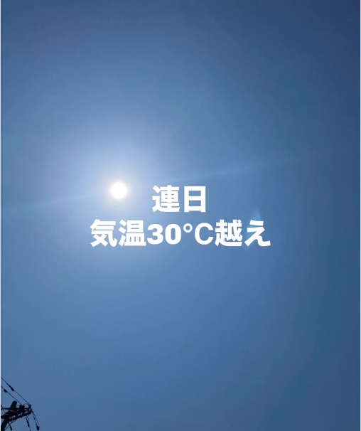 Instagram動画2